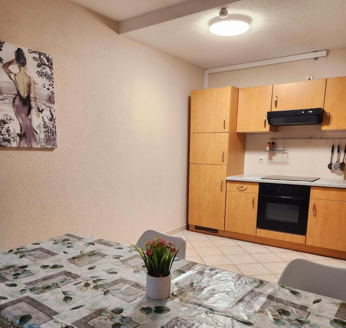 Sj Apartment Chemnitz Kültér fotó